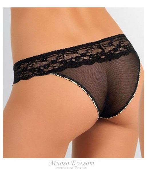 Jadea intimo 1495